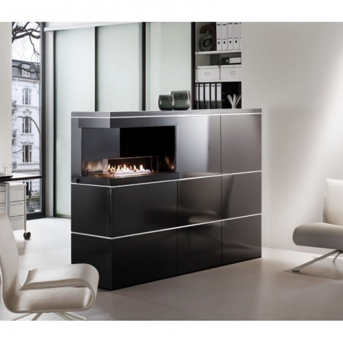 Биокамин Spartherm Ebios-fire 2L